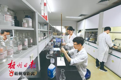 梧州雙雄展科技實(shí)力，高新技術(shù)企業(yè)百?gòu)?qiáng)再創(chuàng)佳績(jī)